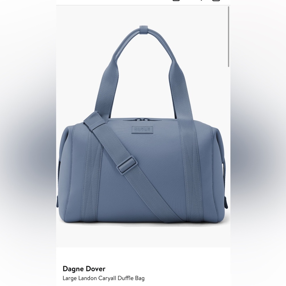 Dagne Dover Large Landon Carryall in Ash Blue